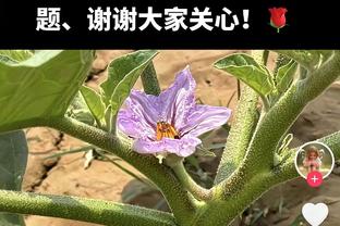 探花起来了！亨德森替补贡献17分11助攻仅1失误 正负值为+21